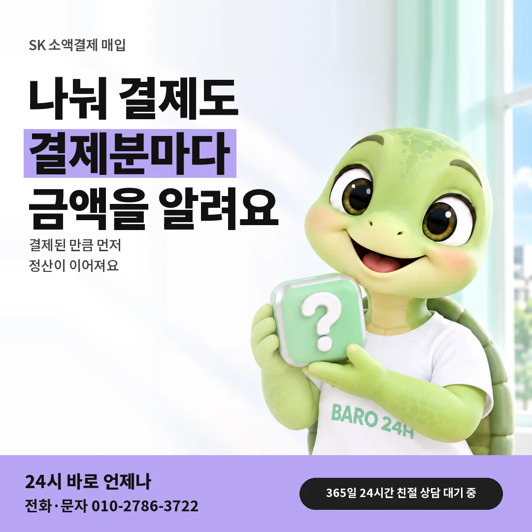 물음표 상자를 든 BARO 24H 티셔츠를 입은 3D 거북이 캐릭터 옆에 「SK 나눠 결제 금액 안내」 제목을 얹은 안내 카드